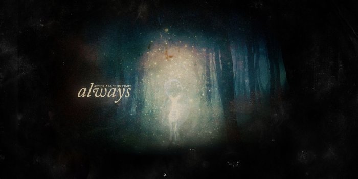 1280x1024 Patronus Wallpapers