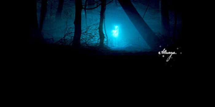 1000x800 Patronus | Tattoo ideas | Snape patronus, Doe image, Wallpaper