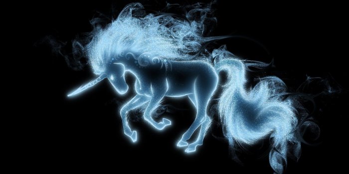 1920x1080 Magic Wallpaper - Harry Potter Patronus Unicorn, Hd Wallpapers
