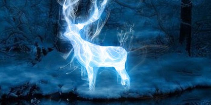 1400x1400 Take Pottermore's new Patronus quiz to find out if you're a dolphin