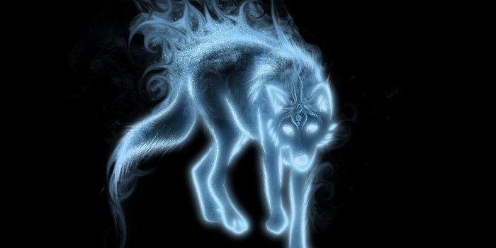 1680x1050 Free download Really Cool Wolf Pictures Wolf patronus by [2835x2268