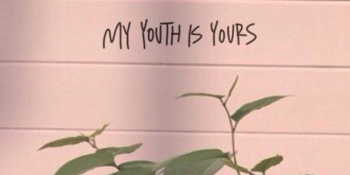 736x1308 Chinease Aesthetic Wallpapers - Top Free Chinease Aesthetic