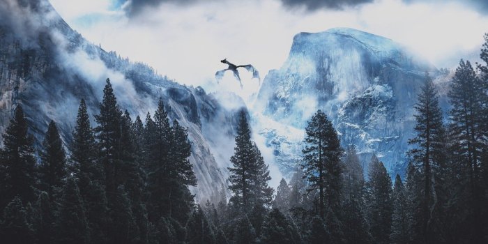 1332x850 Wallpaper the game, The sky, Mountains, Forest, Wallpaper, forest