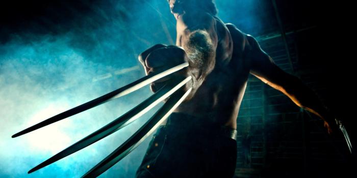 2560x1600 Wolverine Wallpapers HD