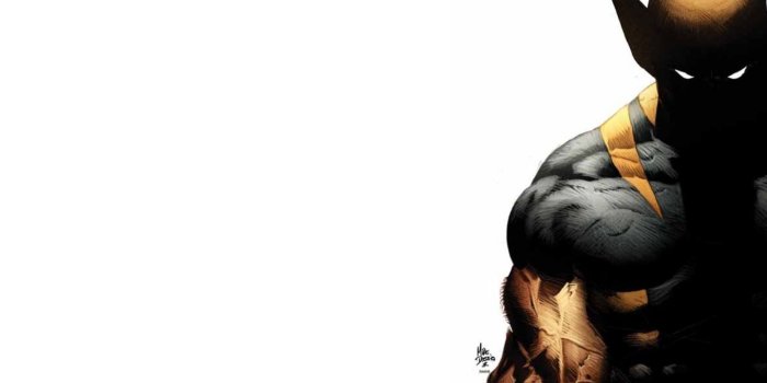 1440x900 Wolverine X Men Wallpaper HD Desktop Background High Quality