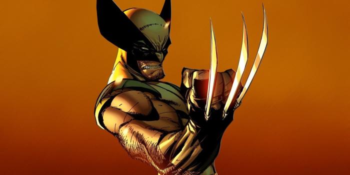 1920x1080 Wolverine Wallpaper 1920x1080 (84+ images)