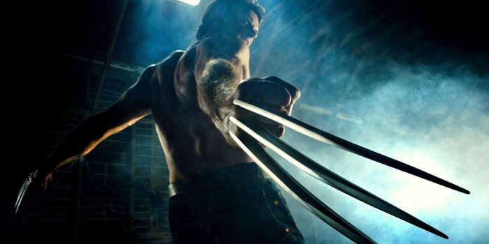 2560x1600 Wolverine Wallpapers HD
