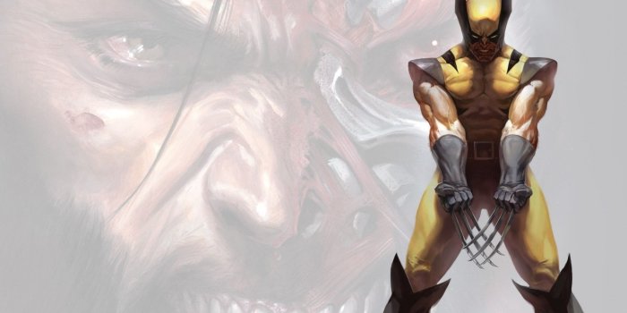 1920x1200 73+] Wolverine Marvel Wallpaper on WallpaperSafari