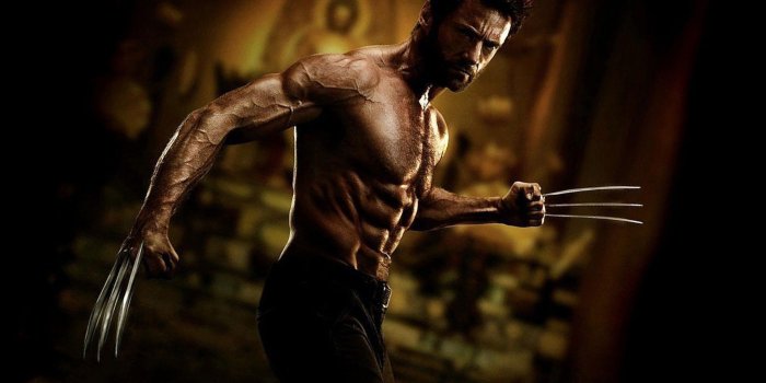 1920x1080 Wolverine Desktop Wallpapers - Top Free Wolverine Desktop