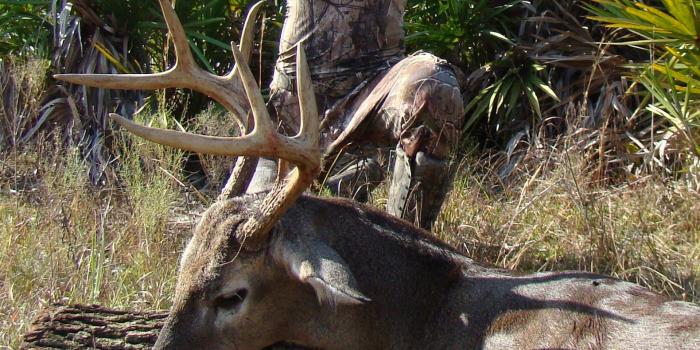 1580x1888 45+] Under Armour Camo Wallpaper on WallpaperSafari