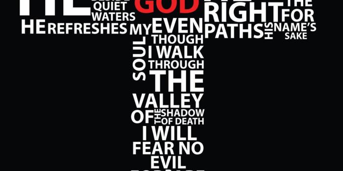 1080x1920 79+ No Fear Wallpapers on WallpaperPlay