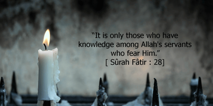 1366x768 Fear Allah Wallpaper and Background Image | 1366x768 | ID:493893