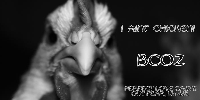 2256x1504 Litany Against Fear Wallpaper (57+ images)