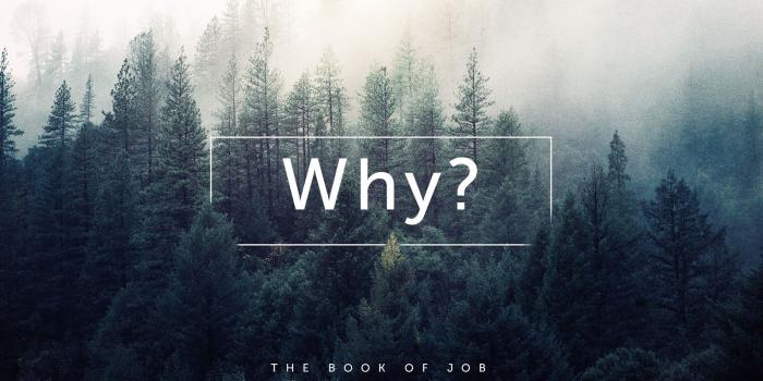 1600x900 Jonathan's Blog: Curse God or Trust God?