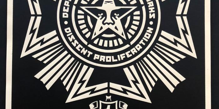 1100x1477 Shepard Fairey Prints – Black Book Gallery | apartment stuff in 2019