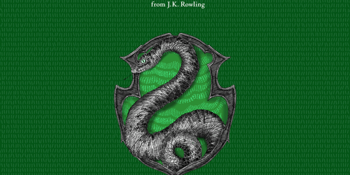 1040x1536 Hedwig Chu on pottermore | Harry potter props, Slytherin