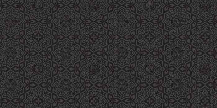 1920x1200 Obey Wallpapers - Top Free Obey Backgrounds - WallpaperAccess