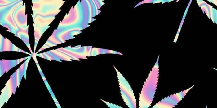 720x1280 Brian Santana on hemp in 2019 | Marijuana wallpaper, Cannabis