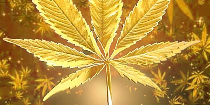 720x1280 It's 420 somewhere. Relaxing holiday with golden green leaf