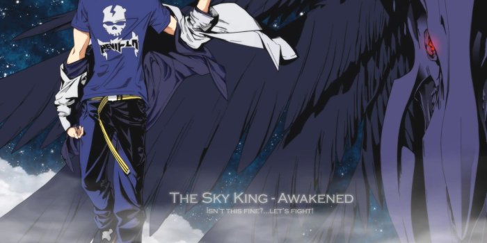 1600x1200 The Sky King Awakened illustration, anime, anime boys, Air Gear