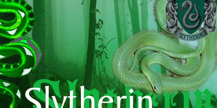 1024x768 snake wallpaper - Slytherin Wallpaper (18922293) - Fanpop