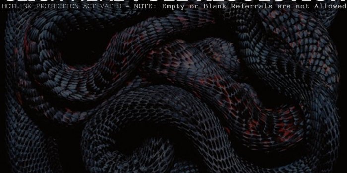 1920x1200 HD Slytherin Wallpaper (78+ images)