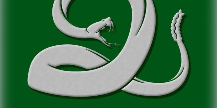 720x1280 House Slytherin Wallpaper by MhmtGlyn - a1 - Free on ZEDGE™