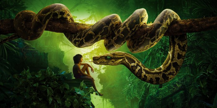3840x2160 306 Snake HD Wallpapers | Background Images