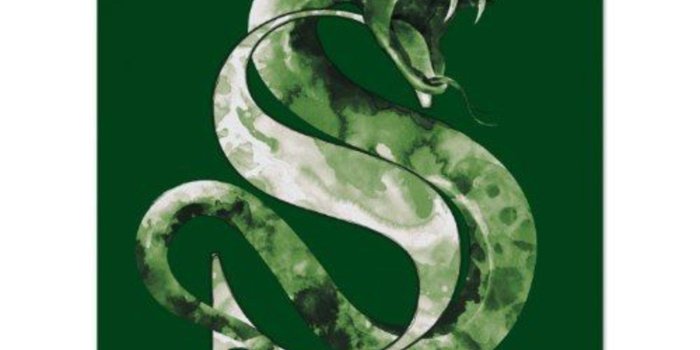 1366x1366 Top 18+ slytherin snake HD Wallpapers