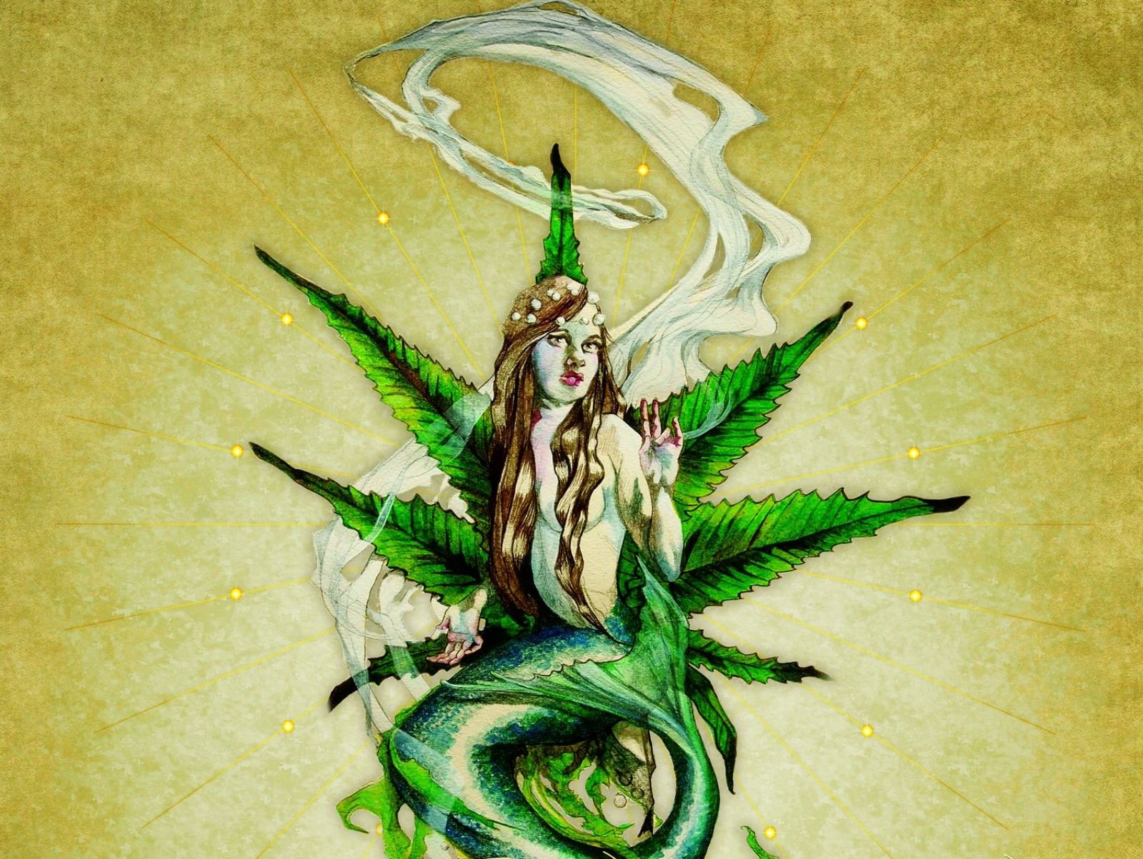 1600x1203 Weed, Fantasy Wallpapers, HD Desktop Wallpapers, Technology
