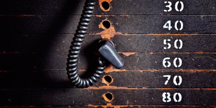 1920x1080 Gym Beast Hd Wallpaper For Mobile | Amatwallpaper.org