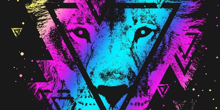 1440x2560 Download wallpaper 1440x2560 lion, colorful, triangle, art, muzzle