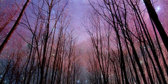 1080x1920 Creepy yet beautiful path | Roads,paths,trails that lead...to