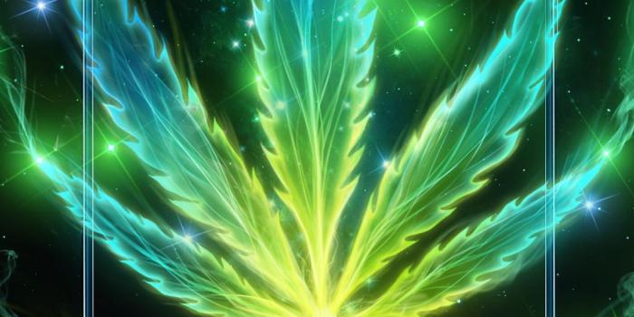 1024x1820 Neon Smoke Weed Live Wallpaper for Android - APK Download