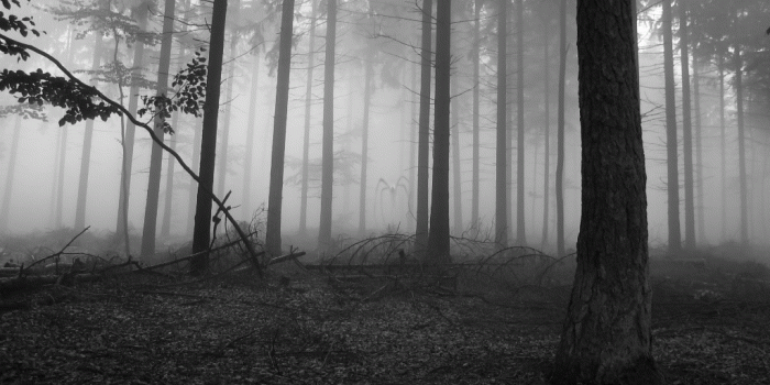 1024x768 A classic, creepy but beautiful : creepy