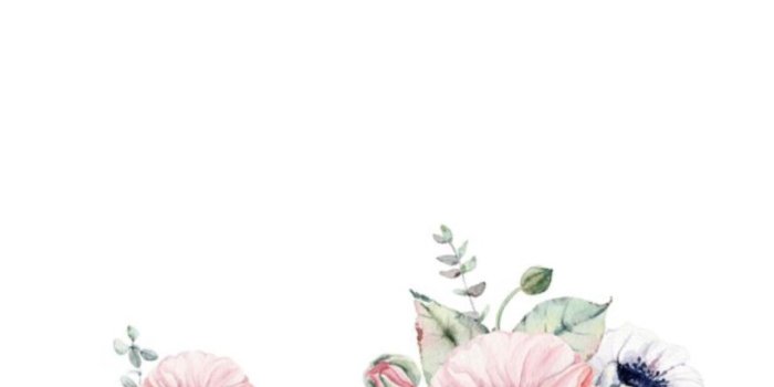 1242x2208 summer spring wallpaper | wallpapers | Spring wallpaper, Flower