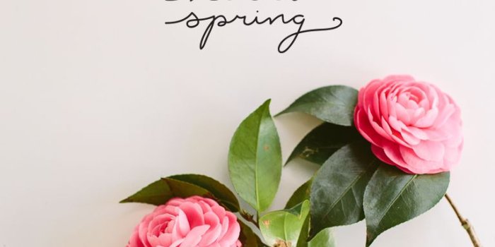 768x1136 Lilla on Simply beautiful in 2019 | Spring quotes, Spring