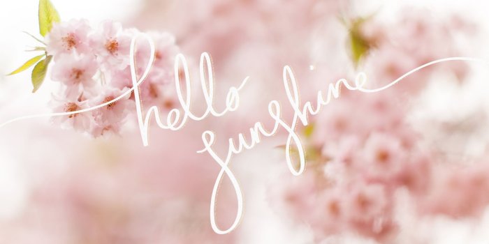 1920x1080 Khloud Alsultan (khloudalsultan)