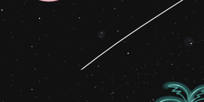 1242x2208 Chillwave Wallpapers