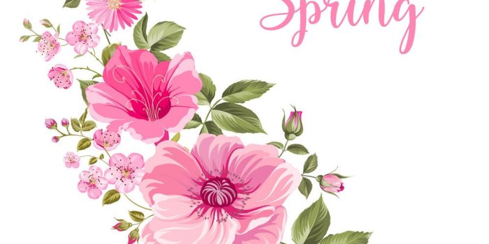 1000x1080 Pinterest Spring Wallpaper Hd - Spring Hello, Hd Wallpapers