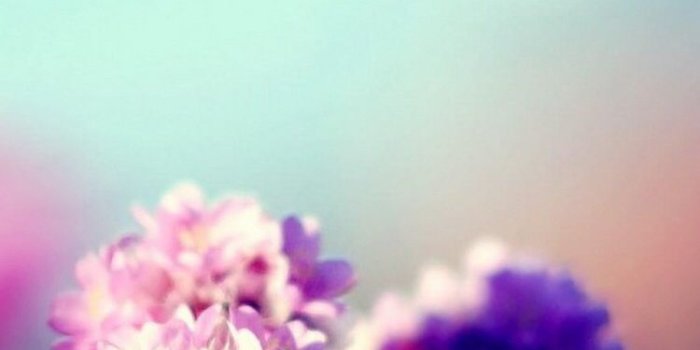 750x1334 Wallpaper Lilac flowers macro, emerald green background, spring
