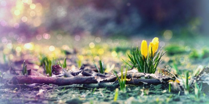 1920x1200 early spring wallpaper Gallery (50+ images)