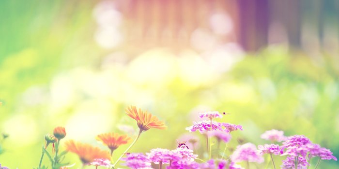 2560x1600 Spring Pictures Backgrounds (54+ images)