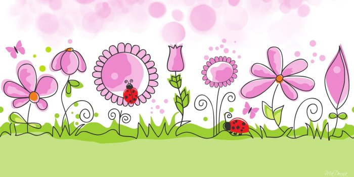 1920x1080 Beautiful Garden Flowers Colors Flower Images Desktop Background