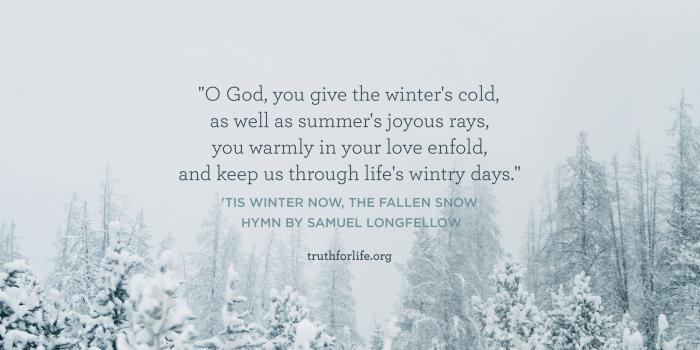 2560x1600 Winter Hymn: Wallpaper