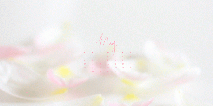 2560x1440 May Wallpapers: Phone, Tablet & Desktop - The Morning