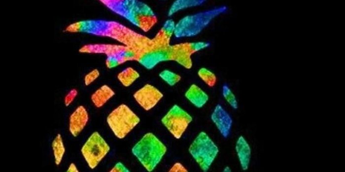 720x1280 Download Rainbow Pineapple Wallpaper by UnluckyPlasma - 0e - Free on