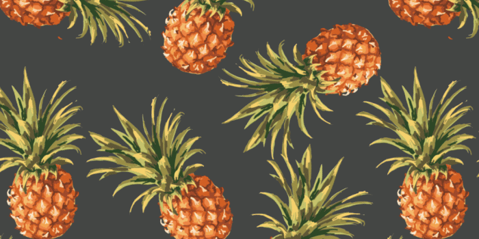 1024x1022 Pineapple Wallpapers - Top Free Pineapple Backgrounds - WallpaperAccess