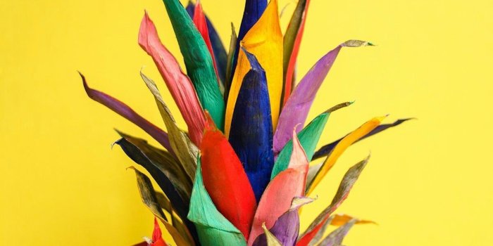 1200x1812 MonRmILKıvırcık on Wallpaperss | Colorful backgrounds