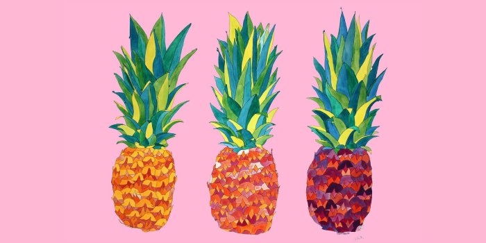 2048x2048 25+ Pink Pineapple Wallpapers - Download at WallpaperBro